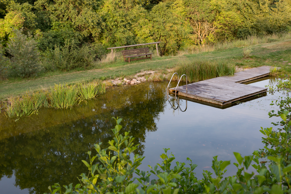 piscine naturelle