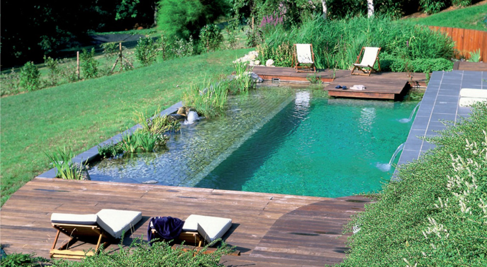 piscine naturelle