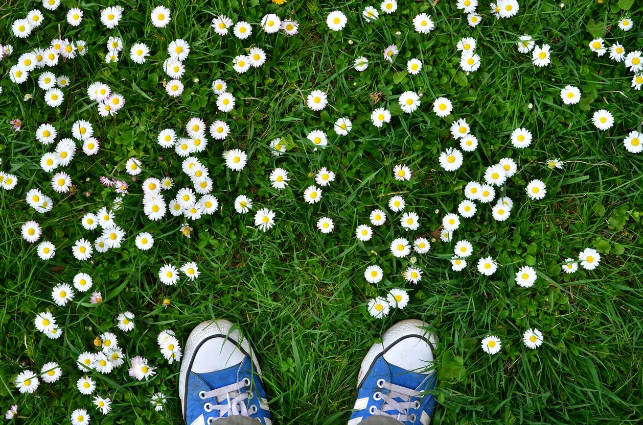 Les alternatives pour jardiner au naturel (2)