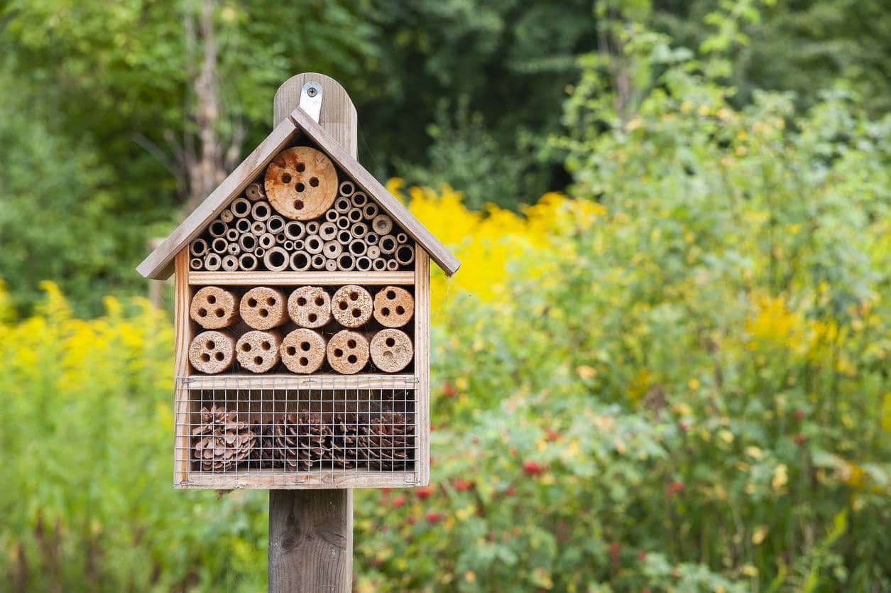 Les alternatives pour jardiner au naturel