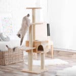 Comment fabriquer un arbre à chat? Comment fabriquer un arbre à chat?