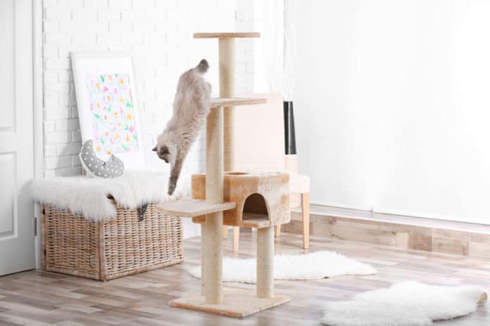 Comment fabriquer un arbre à chat? Comment fabriquer un arbre à chat?
