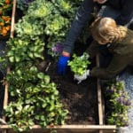 Les alternatives pour jardiner au naturel jardiner bio