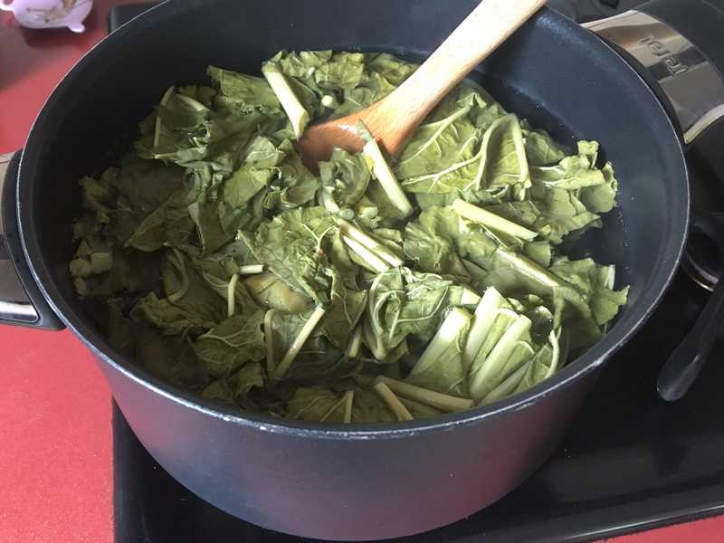 purin-de-feuilles-de-rhubarbe
