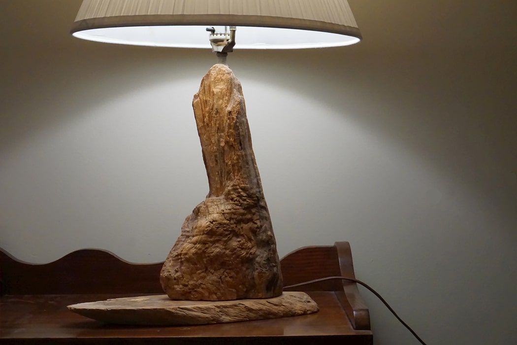 Bois et matières végétales : comment les intégrer parfaitement à votre déco ?