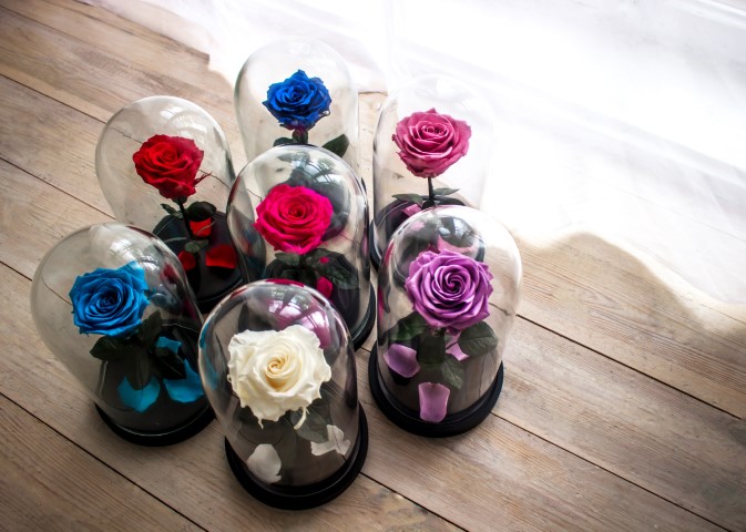 roses éternelles stabilisées