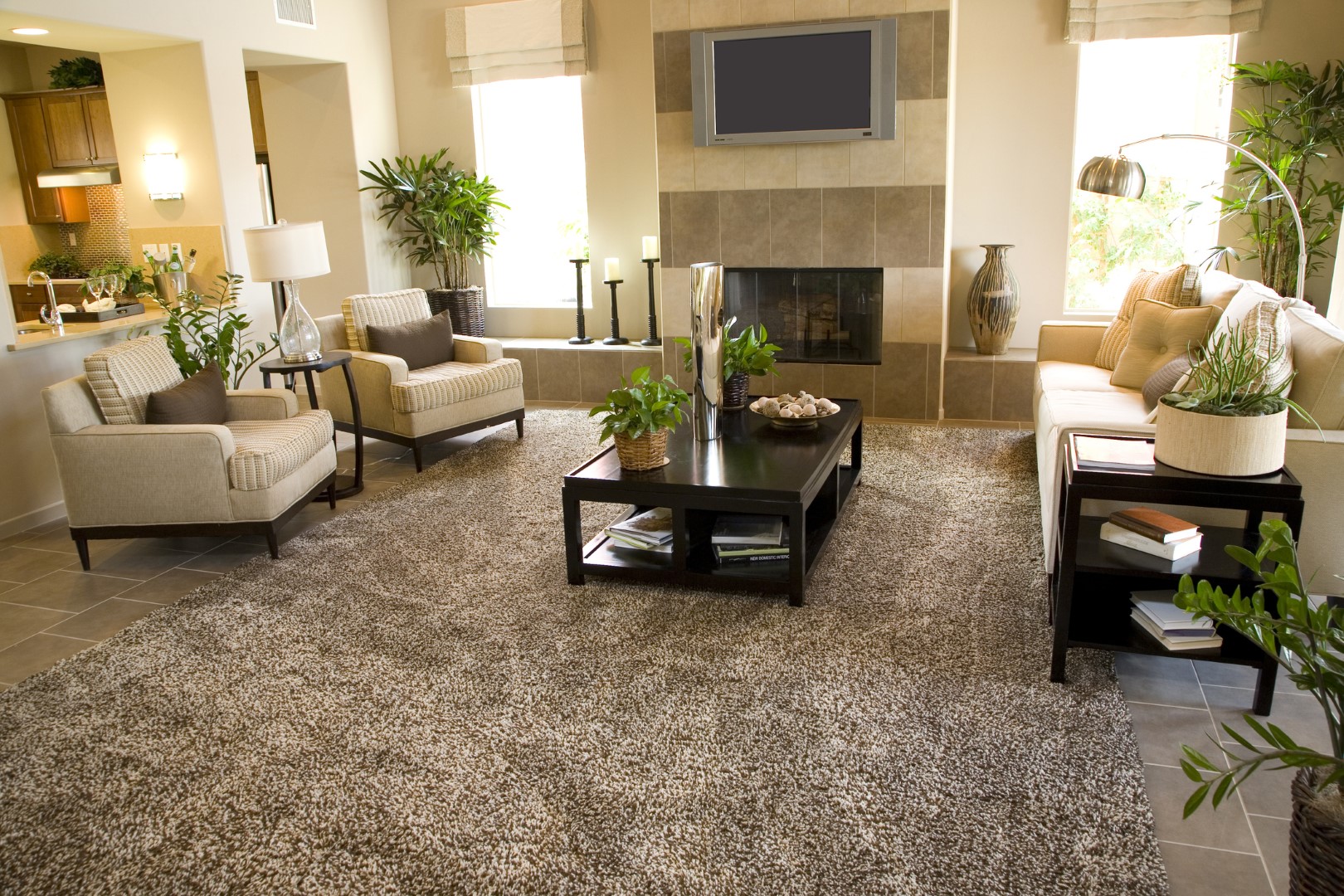 grands tapis dans un salon