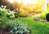Comment entretenir ses espaces verts lors de fortes chaleurs ? entretenir jardin été