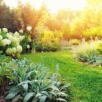 Comment entretenir ses espaces verts lors de fortes chaleurs ? entretenir jardin été
