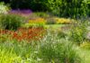 Comment favoriser la biodiversité dans son jardin ? biodiversité dans son jardin