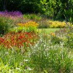 Comment favoriser la biodiversité dans son jardin ? biodiversité dans son jardin
