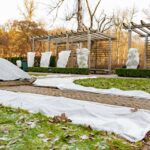 Comment préparer son jardin pour l’hiver ? hivernage jardin