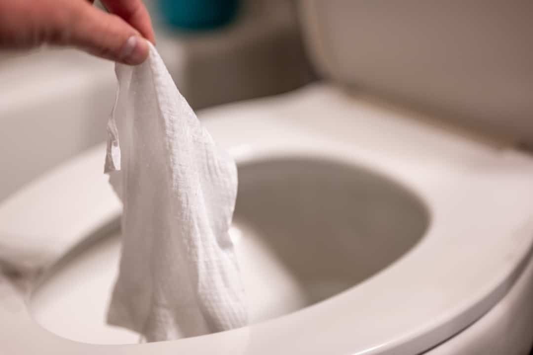 lingette wc bouché