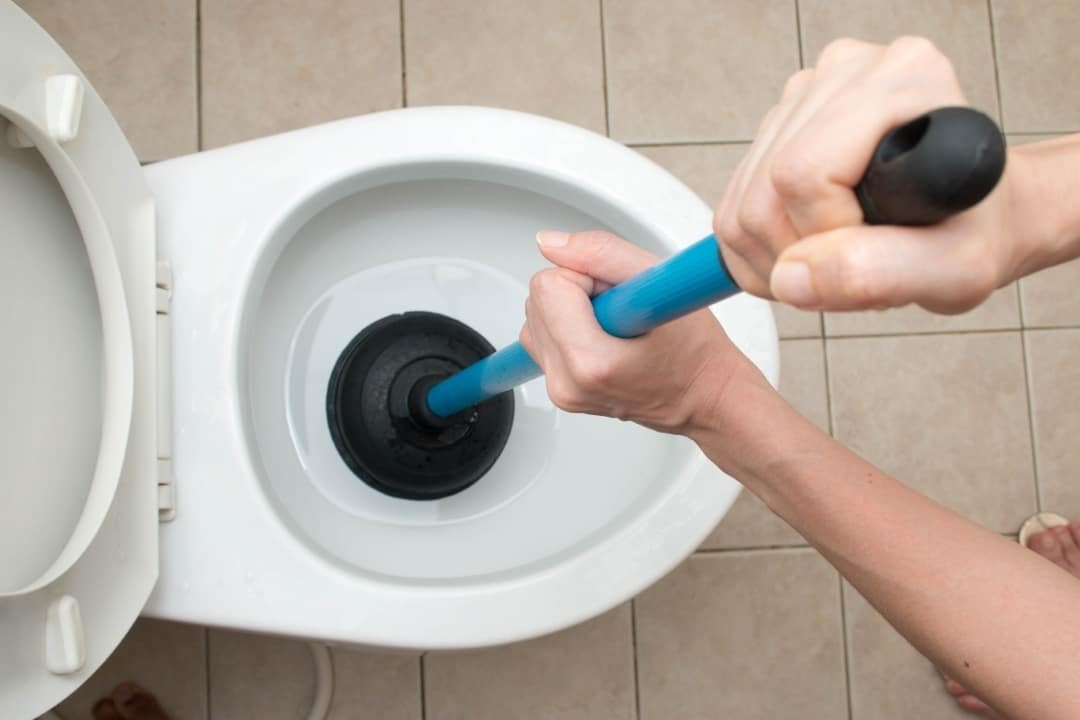 Comment Utiliser Ventouse Wc