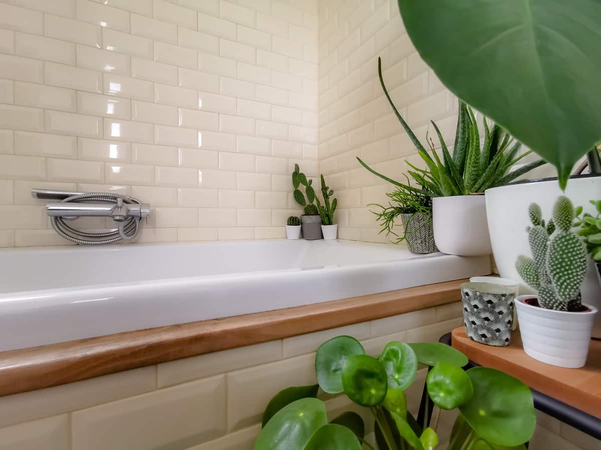 déco salle de bain zen