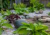 Comment aménager un jardin en rocaille ? Comment aménager un jardin en rocaille