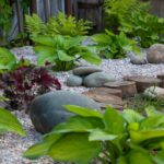 Comment aménager un jardin en rocaille ? Comment aménager un jardin en rocaille