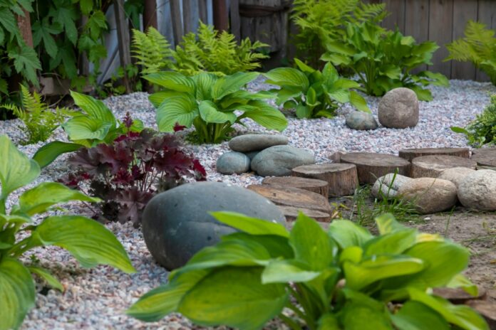 Comment aménager un jardin en rocaille