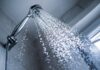 Eaux grises : conseils pour réutiliser l’eau de la maison dans le jardin Eaux grises conseils pour réutiliser l’eau de la maison dans le jardin
