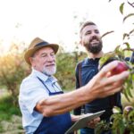 Top10 variétés de pommes anciennes à planter dans nos jardins Top10 variétés de pommes anciennes à planter dans nos jardins
