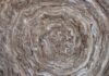 Habitat : tout savoir sur les isolants en textiles recyclés et la laine de coton isolant laine de coton recyclée