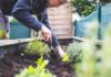 Comment remplir une jardinière haute ? Comment remplir une jardinière haute