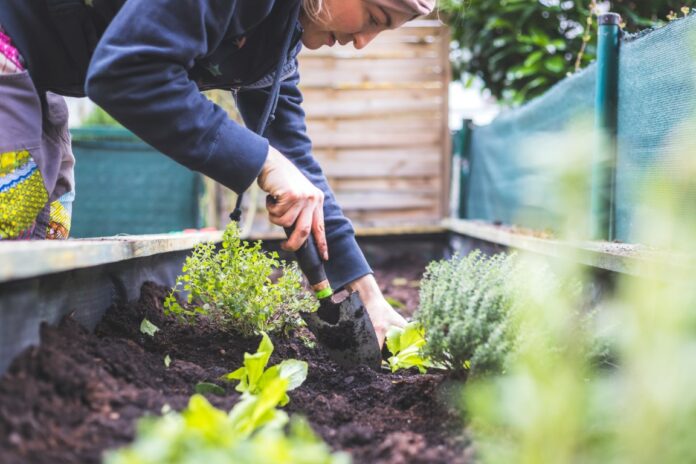 Comment remplir une jardinière haute Comment remplir une jardinière haute
