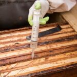À quoi sert le sel d’oseille et comment l’utiliser chez soi ? À quoi sert le sel d’oseille et comment l’utiliser chez soi