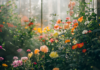 Comment avoir de belles fleurs sous serre en toute saison ? comment avoir de belles fleurs sous serre